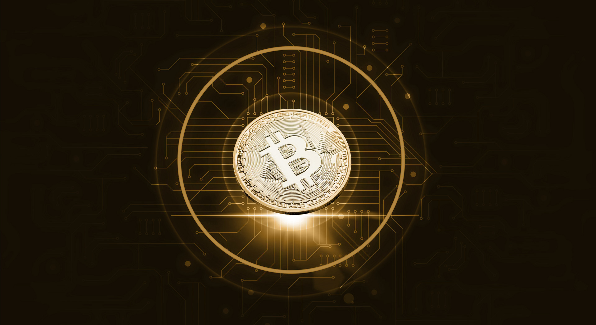 一位交易所人士眼中的币圈关键词：暴富梦想和丛林法则每日经济新闻- Yuanben - Protecting your ownership rights